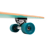 Longboard Zed Pintail